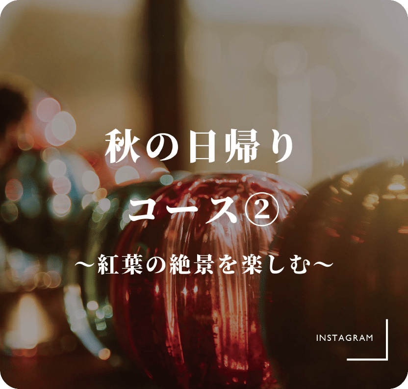 秋の日帰りコース② 〜紅葉の絶景を楽しむ〜