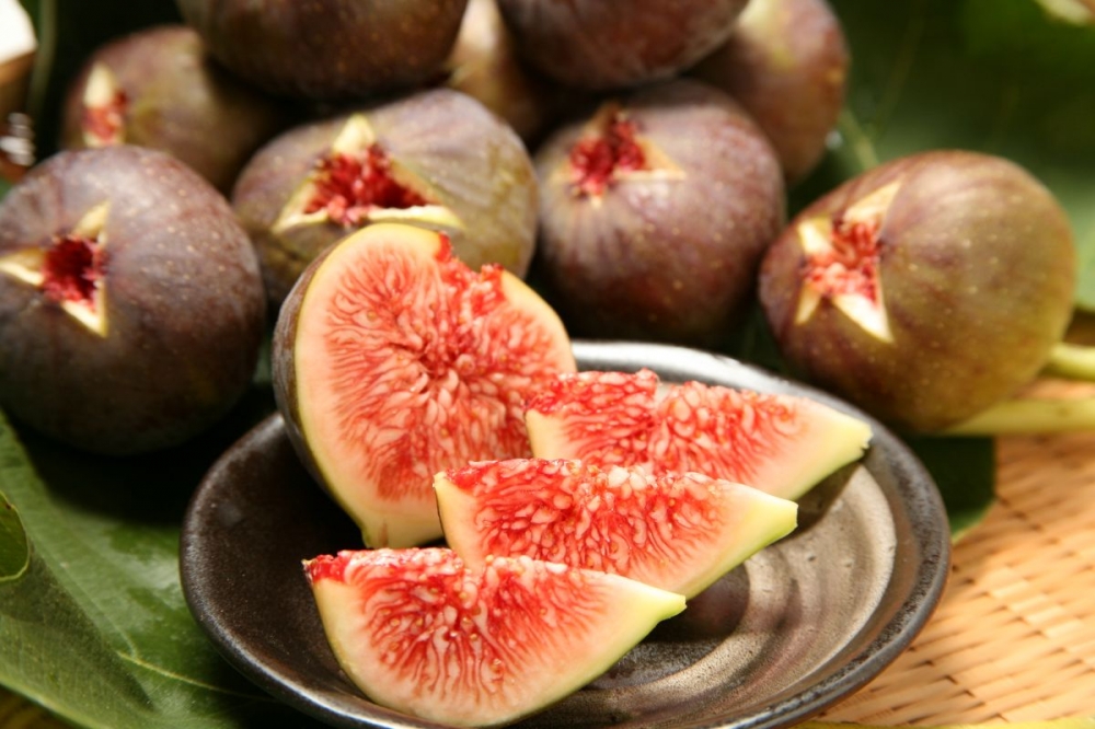 Fruits